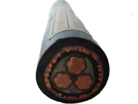 額定電壓0.6/1kV ZR-BPYJVTP2變頻電纜技術(shù)規(guī)范